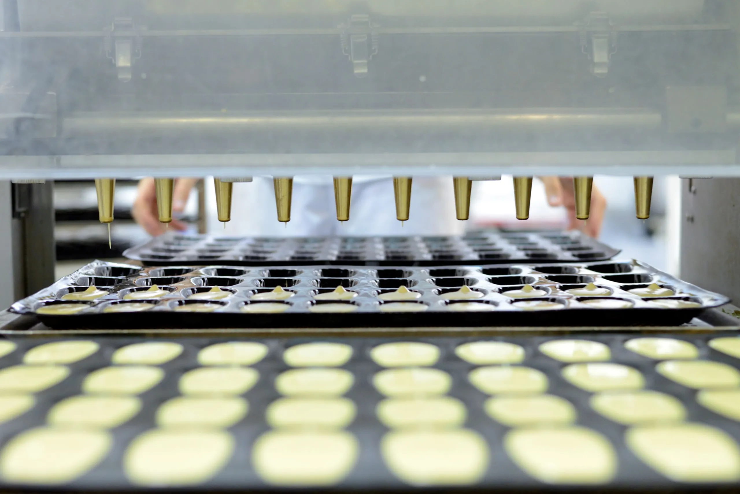 Fabrication madeleine.jpg