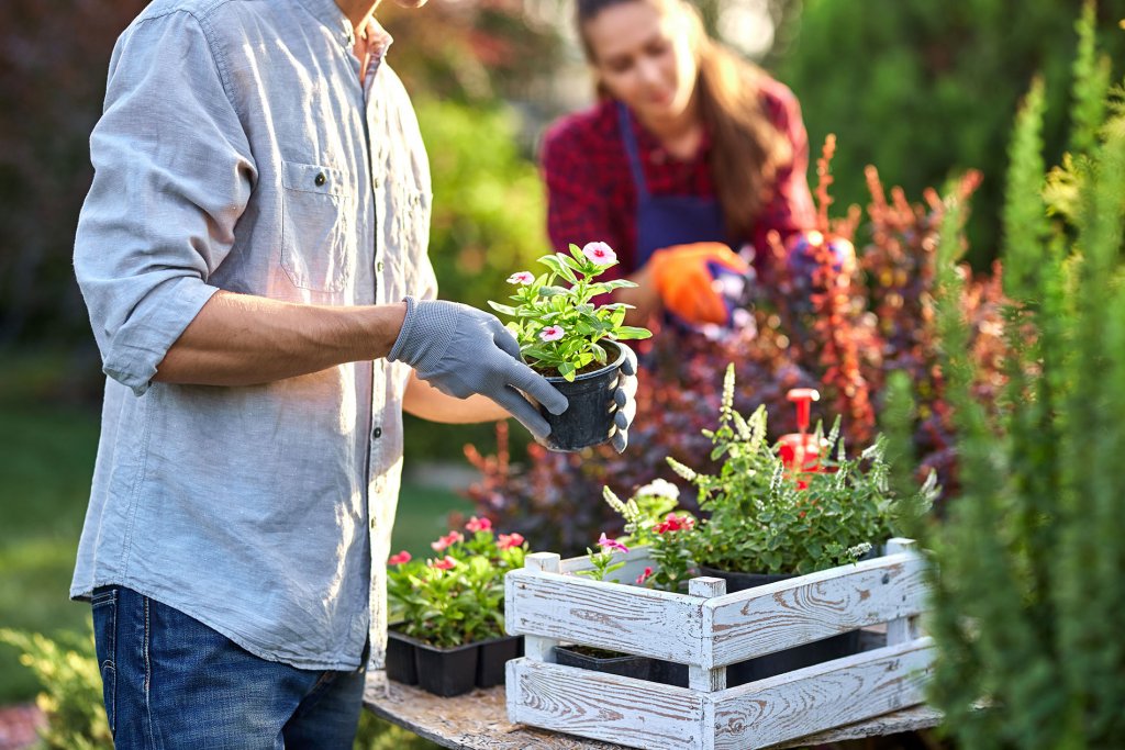Jardinage