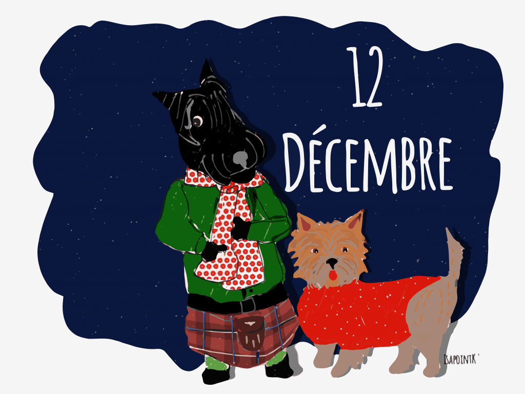 Etoile : le calendrier de l’avent des histoires de Noël – Jour 12