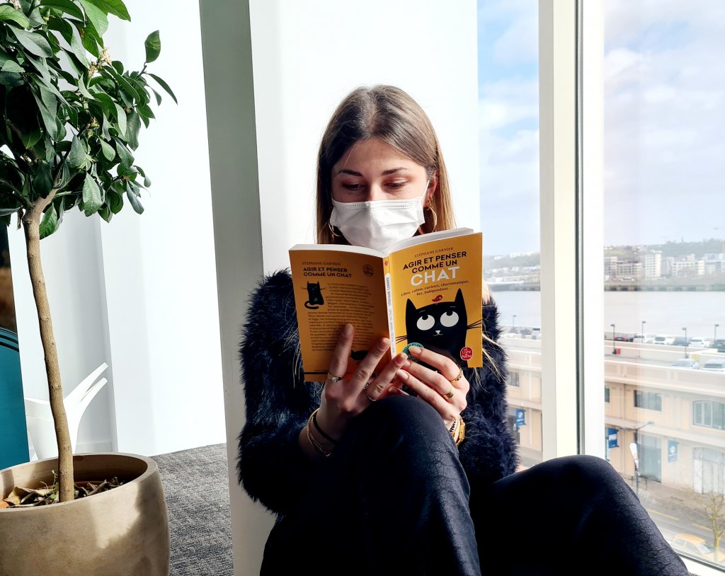 Développement personnel : et si on s’inspirait du comportement des chats ?