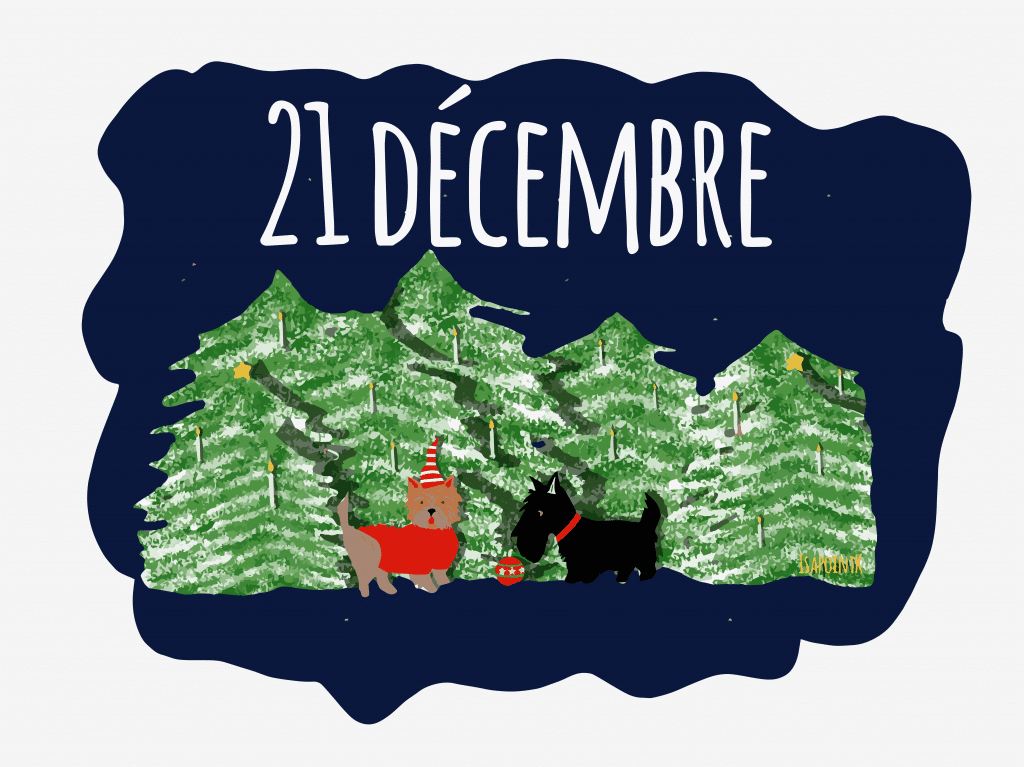 Etoile : le calendrier de l’avent des histoires de Noël – Jour 21
