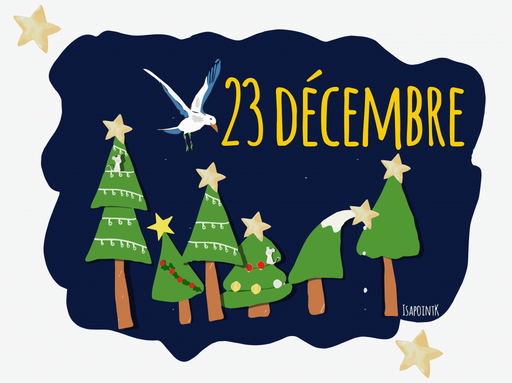 Etoile : le calendrier de l’avent des histoires de Noël – Jour 23