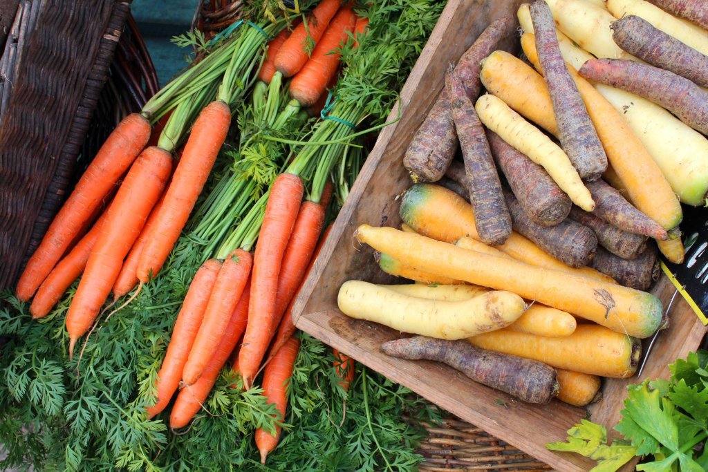 Les Associations pour le Maintien d’une Agriculture Paysanne ont 20 ans