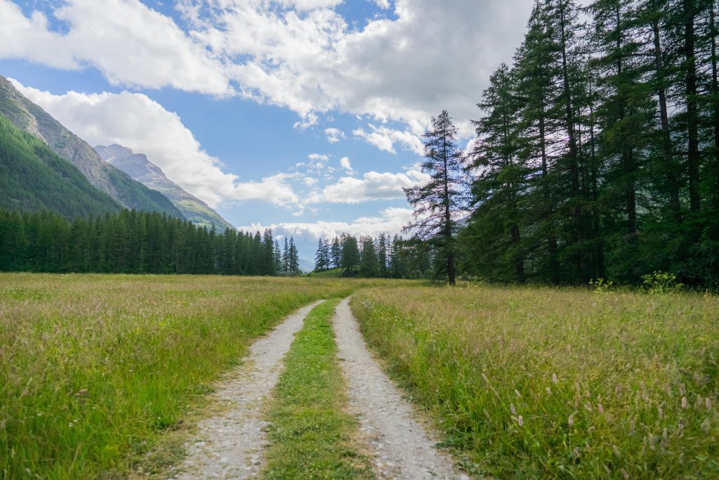 Comprendre le changement pour mieux l’appréhender