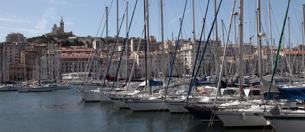 Green City Organisation, la start-up qui veut préserver les océans