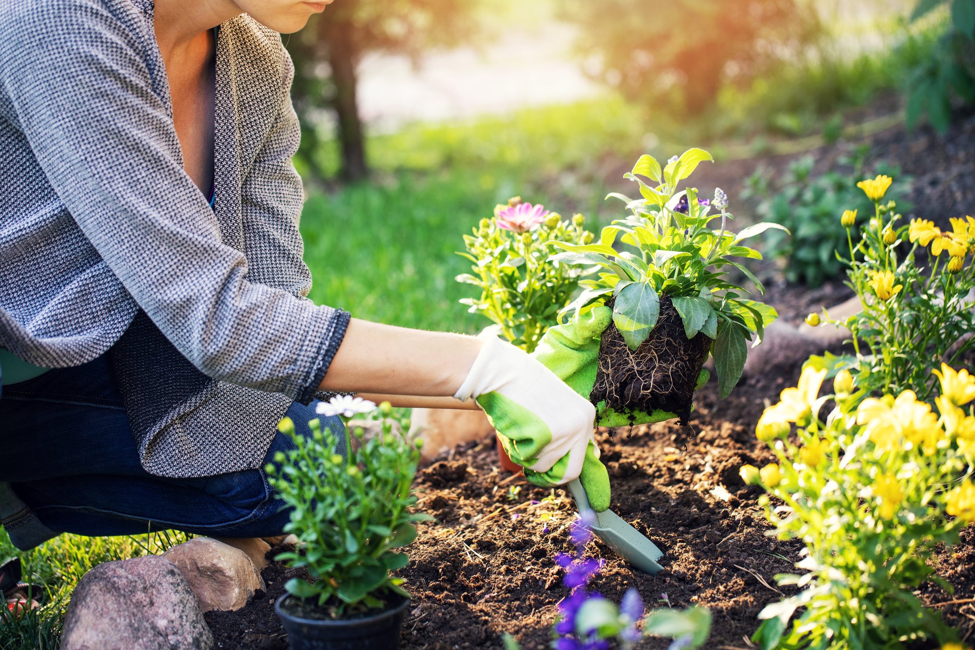 Jardiner aujourd’hui : état des lieux avec « 4 saisons »