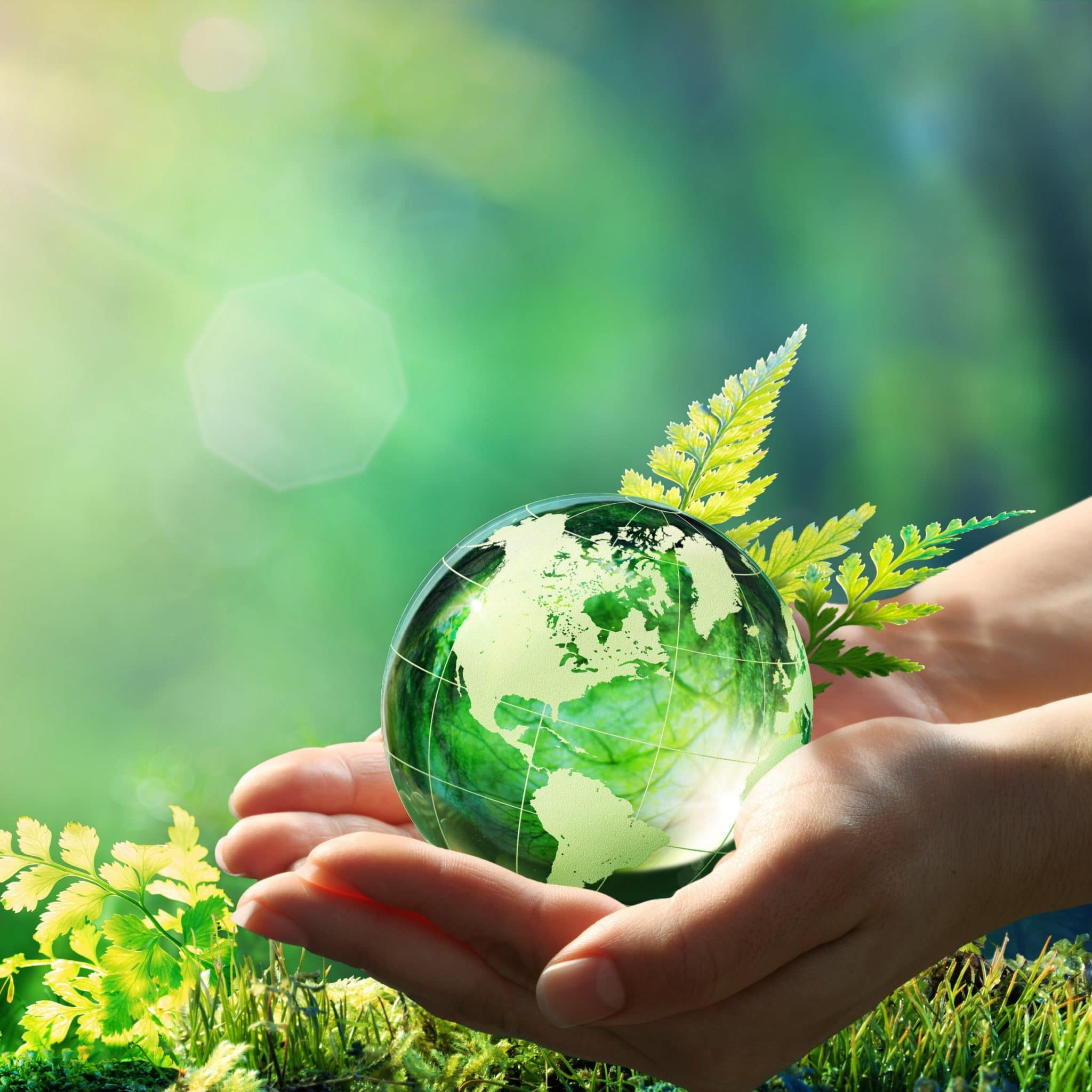 Environnement : Ma petite planète, le jeu écolo qui rend accro