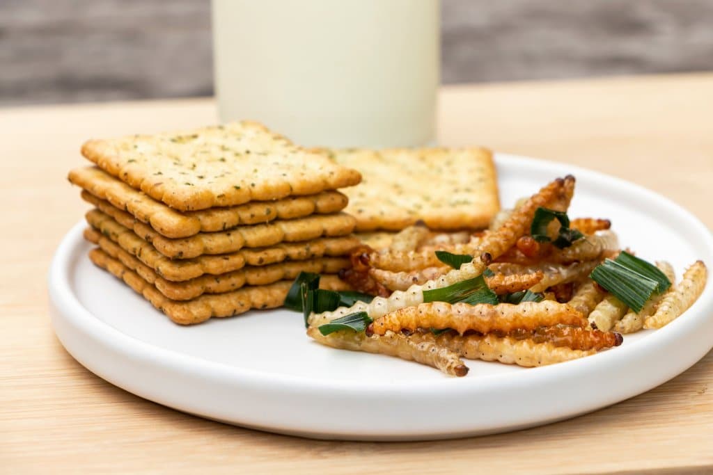 Gastronomie : quand les insectes arrivent dans nos assiettes