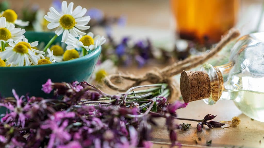 15e édition du festival Ventoux Saveurs jusqu’au 31 octobre & salon du Bien-être à Brive-la-Gaillarde