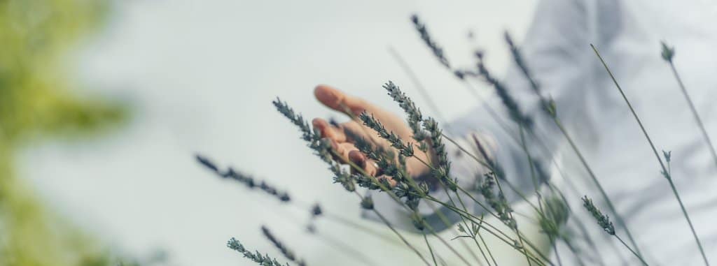 Rennes : rendez-vous au salon Respire la vie, du 18 au 20 février