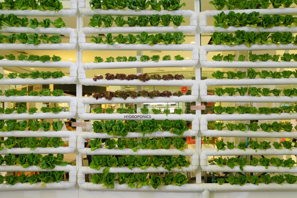 Agriculture : Futura Gaïa, des fermes verticales sur sol vivant