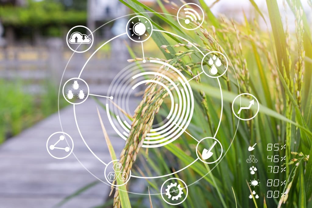 Qu’est-ce que le projet Terra Forma ?