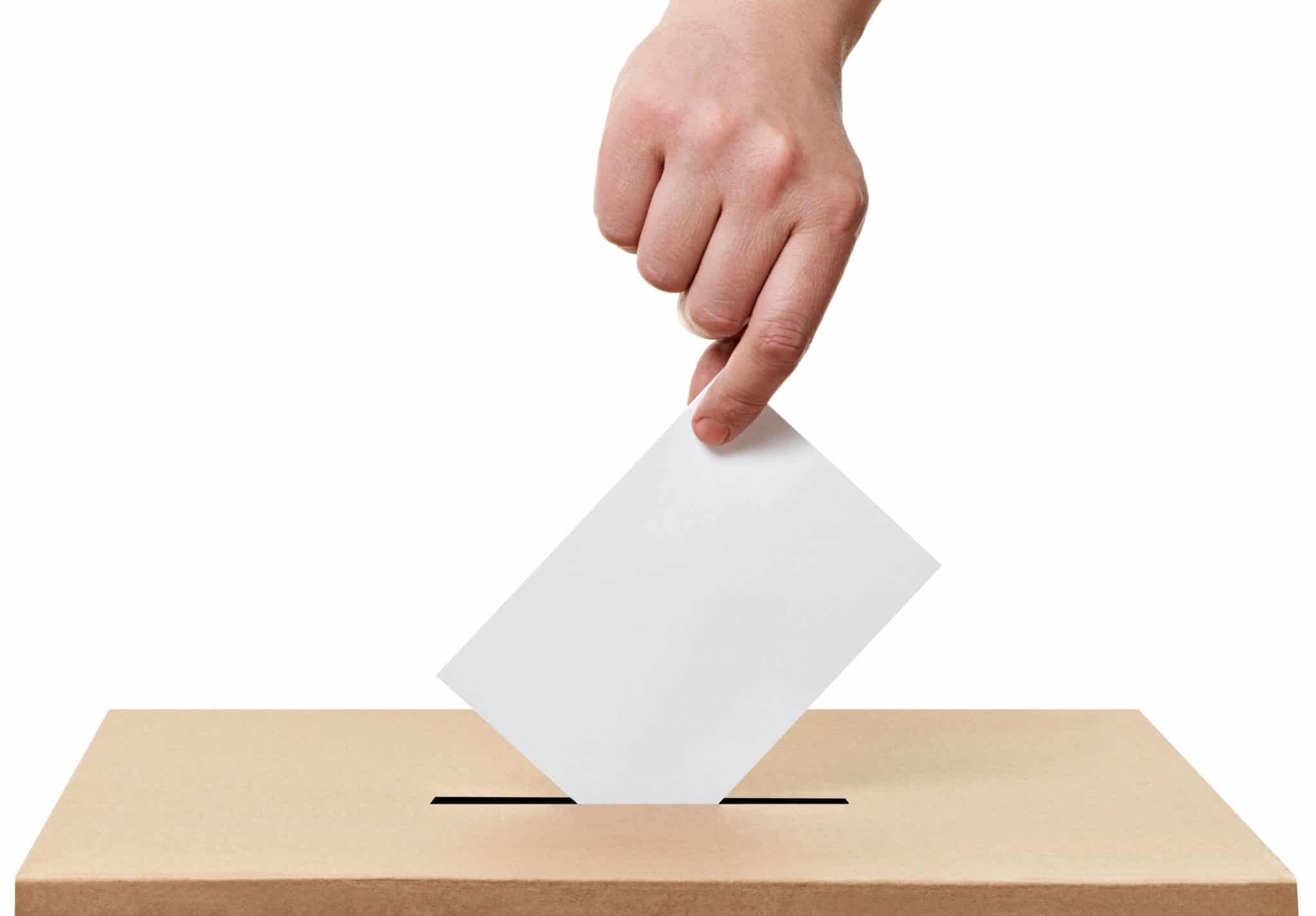 Election : Elyse, une application pour vous aider à choisir votre candidat