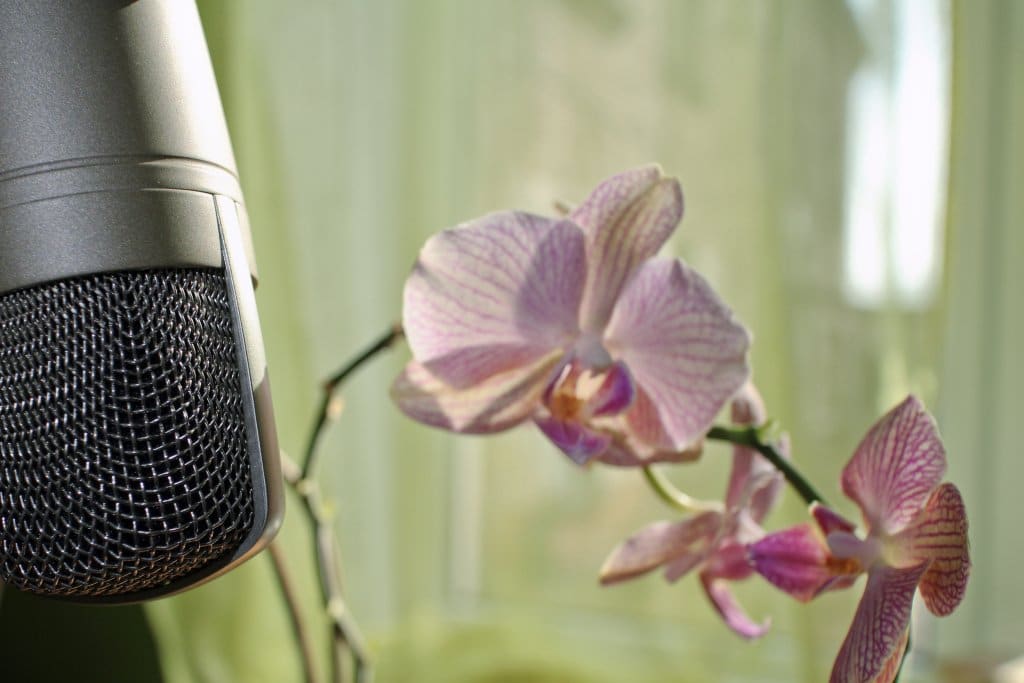 Le temps de l’ambient