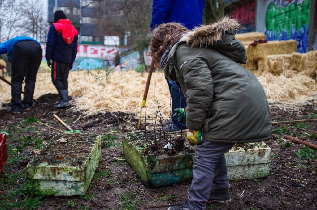 La Méthode Myawaki, pour des petites forêts sauvages en ville