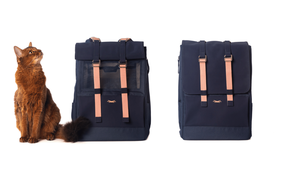 Avec Cat Trotter, votre chat va vous accompagner partout