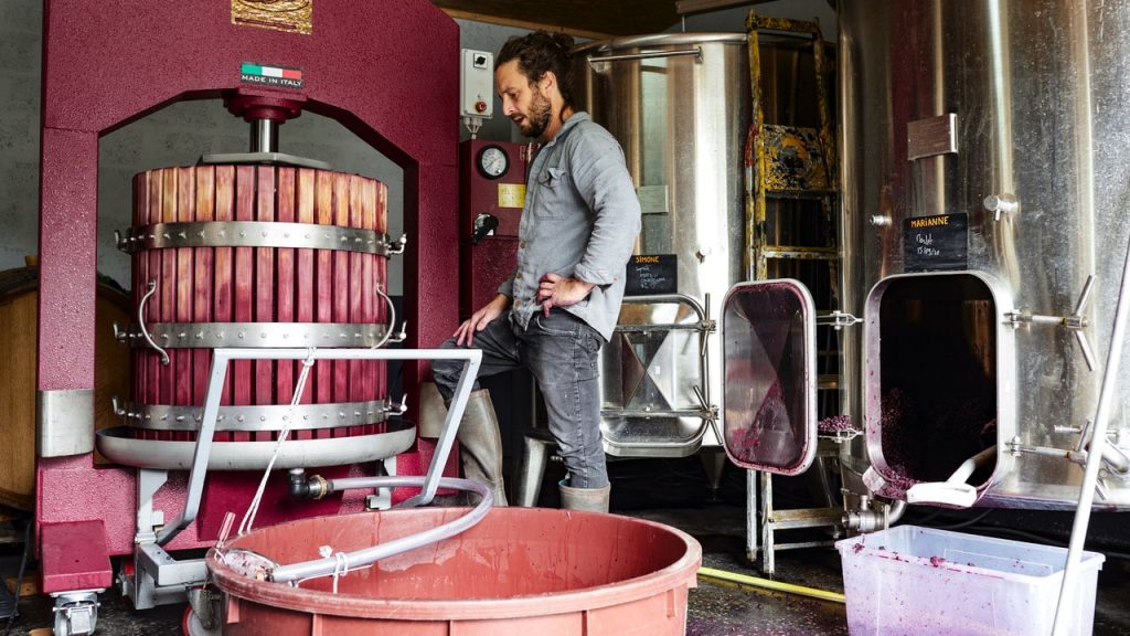 Chais urbains : à Bordeaux, Laurent Bordes fabrique son vin en ville