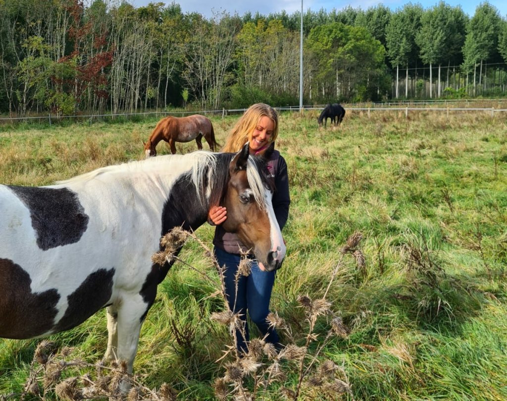 L’ Association Écurie FK Nouvel Espoir sauve les chevaux