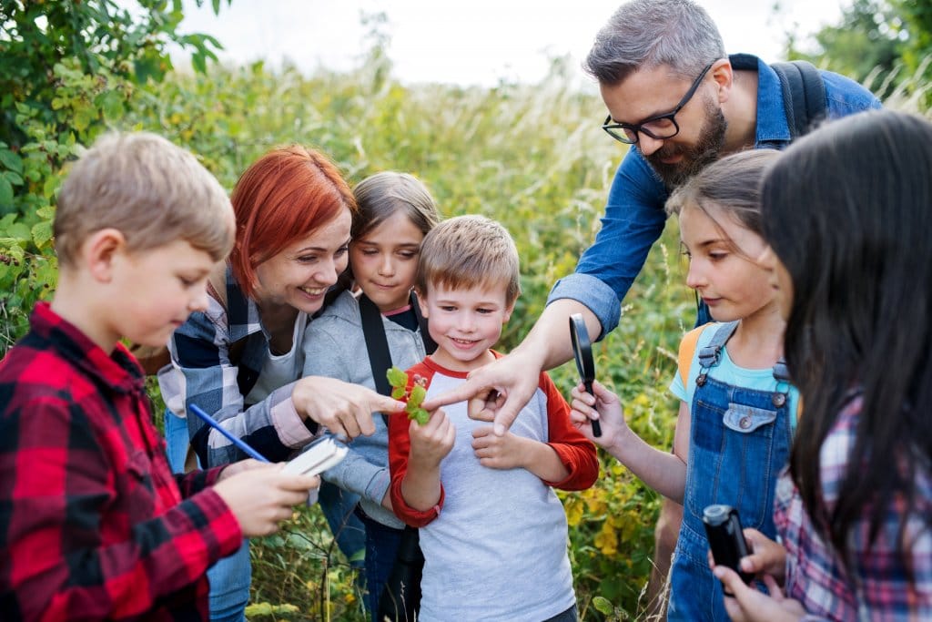 L’ Ecole Ose, qui accompagne vos enfants à vivre en harmonie avec la nature