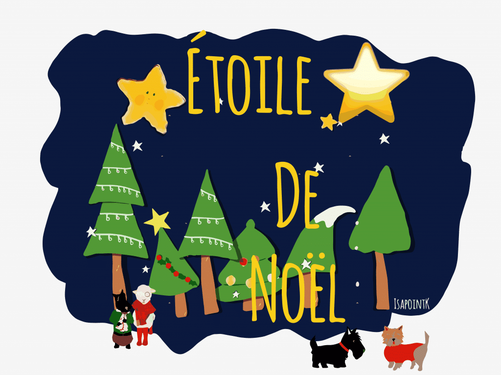Etoile : le calendrier de l’avent des histoires de Noël – Jour 10