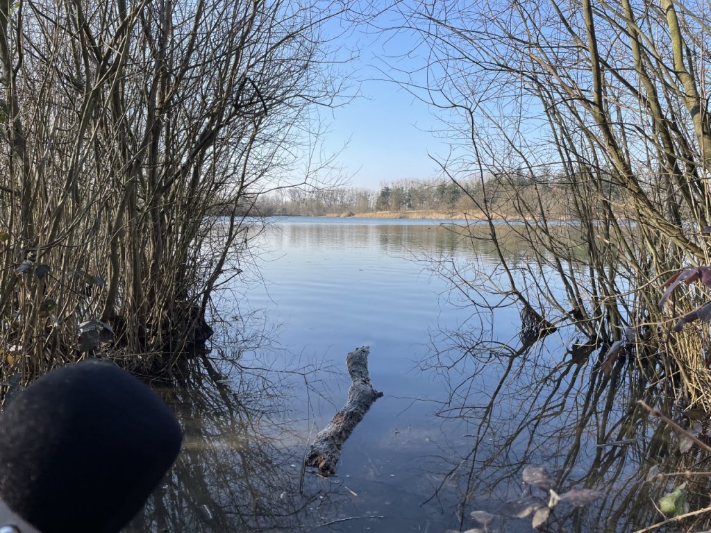 Paris : des forêts à 15 minutes du centre-ville