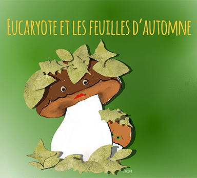 Eucaryote et les feuilles d’automne