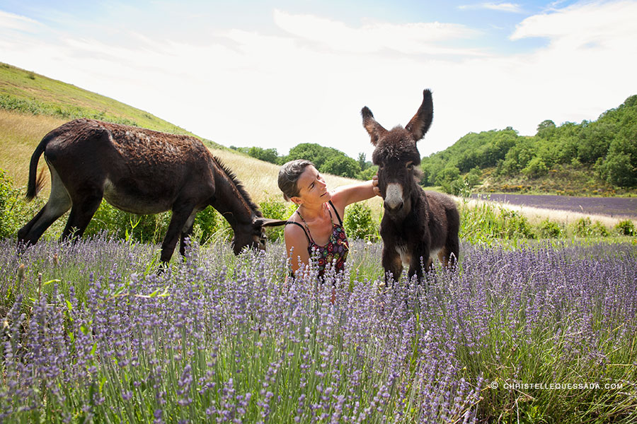 Gers : la ferme du Hitton, une ferme de découverte autour de l’âne des Pyrénées