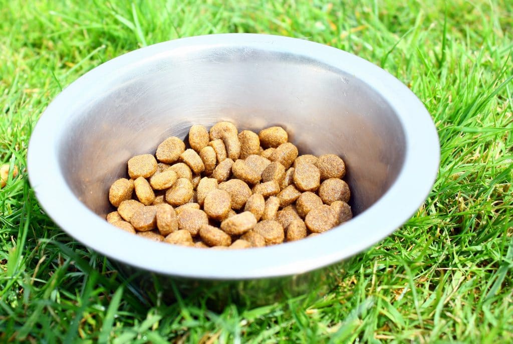 Des recettes plus saines dans les gamelles de nos animaux