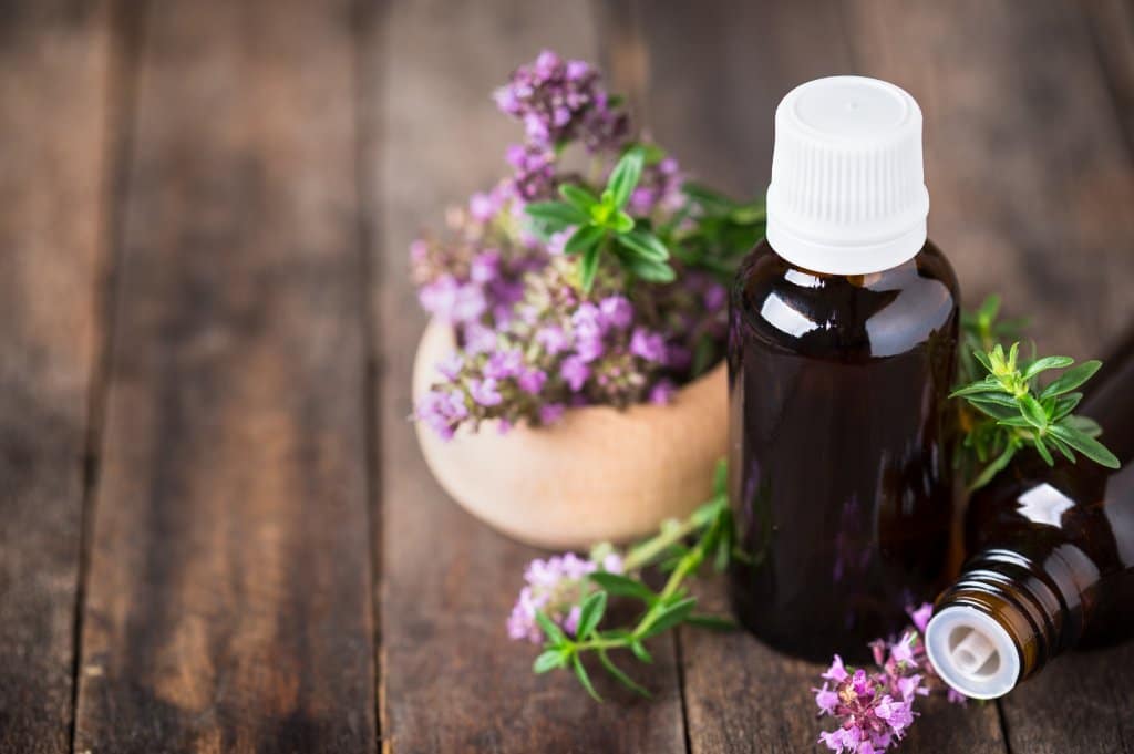 Huiles essentielles : le thym à thujanol, une plante complexe mais généreuse