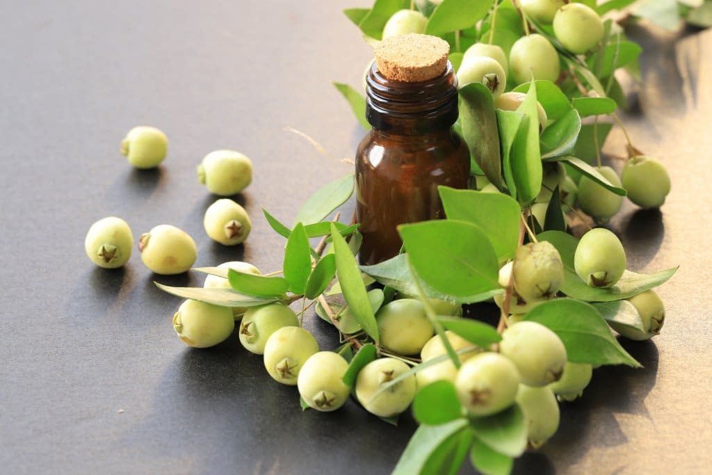 Huiles essentielles : le myrte vert ou rouge, idéal pour les ex-fumeurs