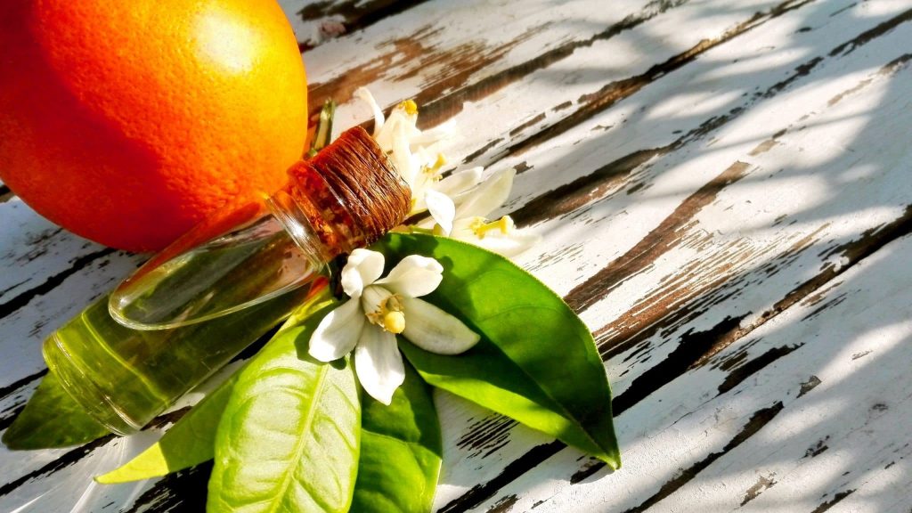 Huiles essentielles : les trois facettes de l’oranger amer