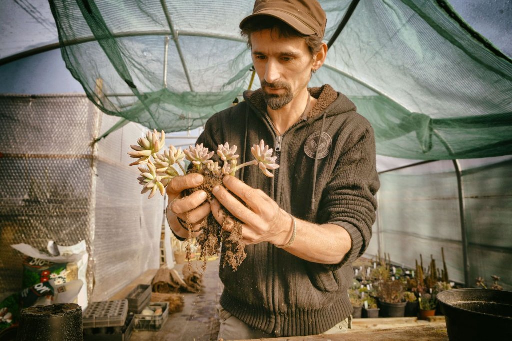 Les Murets du Causse, une pépinière dans son terroir