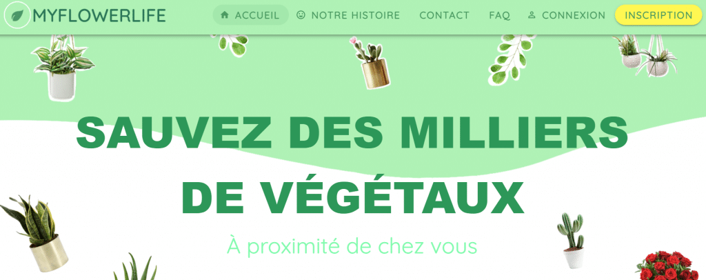 Myflowerlife : la plateforme anti-gaspillage de végétaux invendus