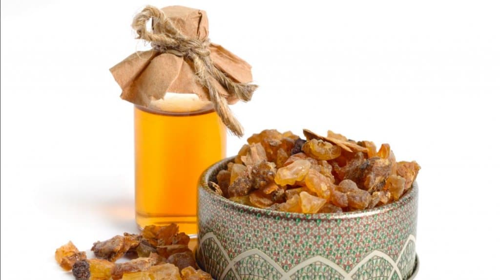 Huiles essentielles : la myrrhe, cicatrisante de son arbre à notre peau