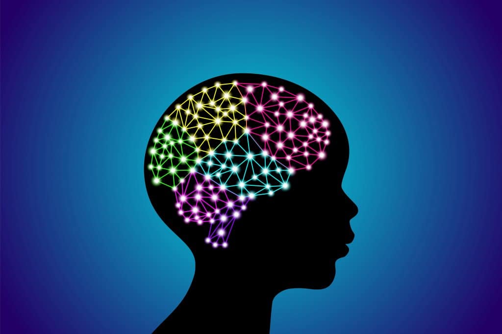 Mieux apprendre grâce aux neurosciences