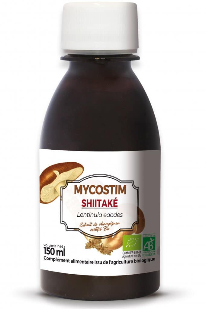 La mycothérapie, et si on se soignait avec des champignons ?