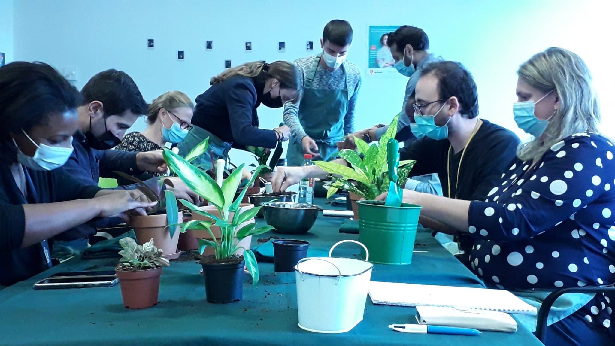 Entreprise : une pause végétale avec Plantologie urbaine