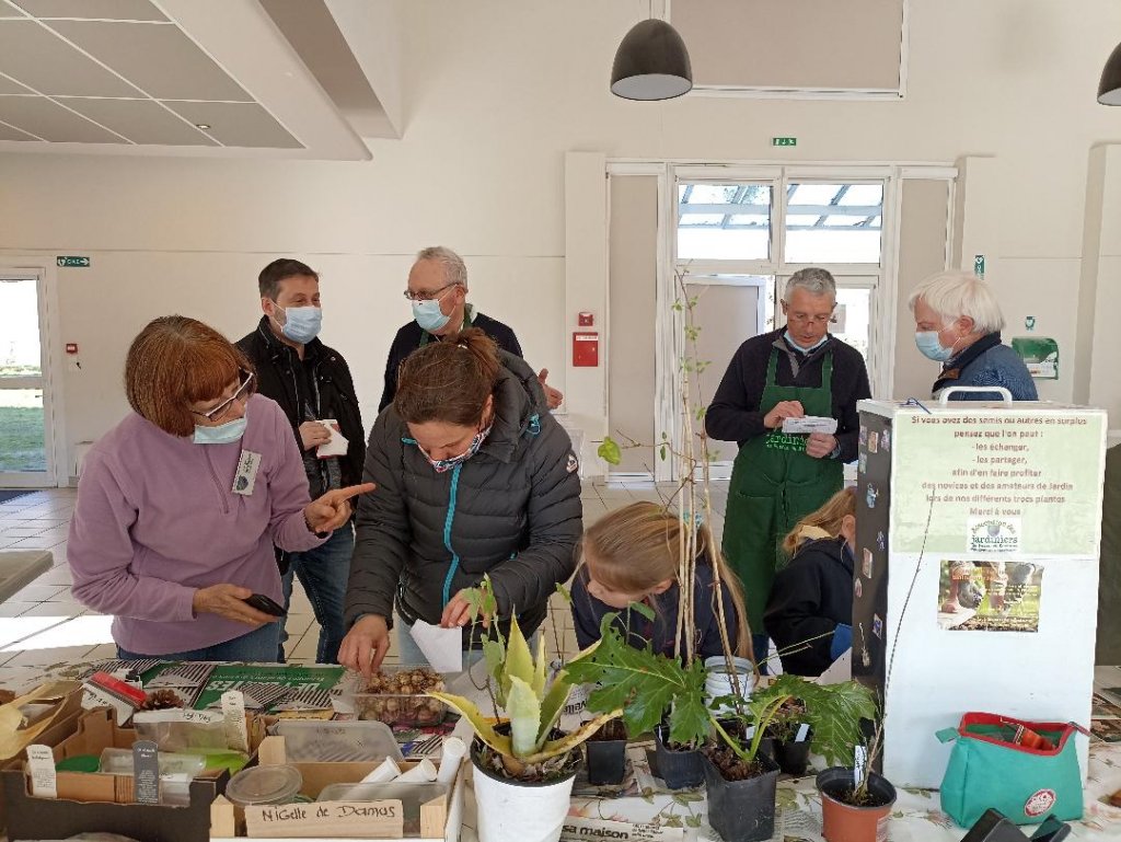 Troc de graines : quand les jardiniers partagent graines et bonnes pratiques