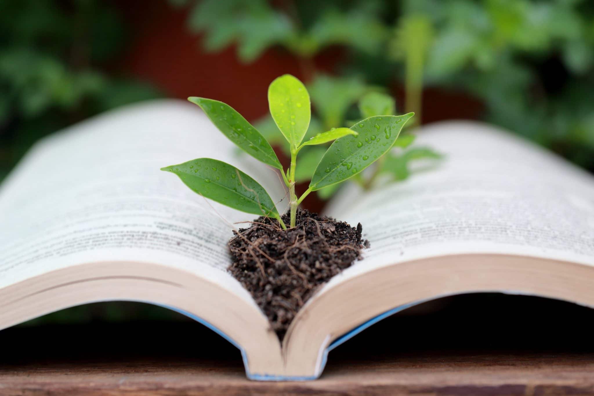 “Se nourrir de son jardin” : le guide pratique sur la permaculture
