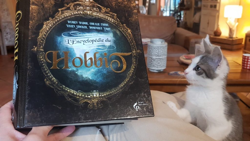 La Terre du Milieu, une maison d’hôtes fantastique en Moselle