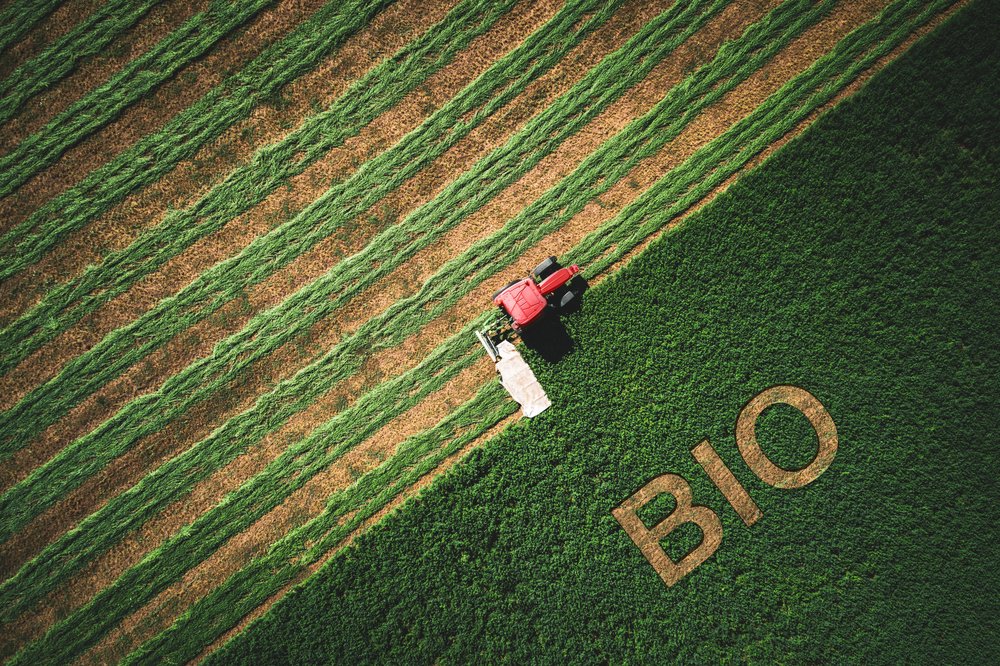 Agriculture biologique : comment démêler le vrai du faux ?