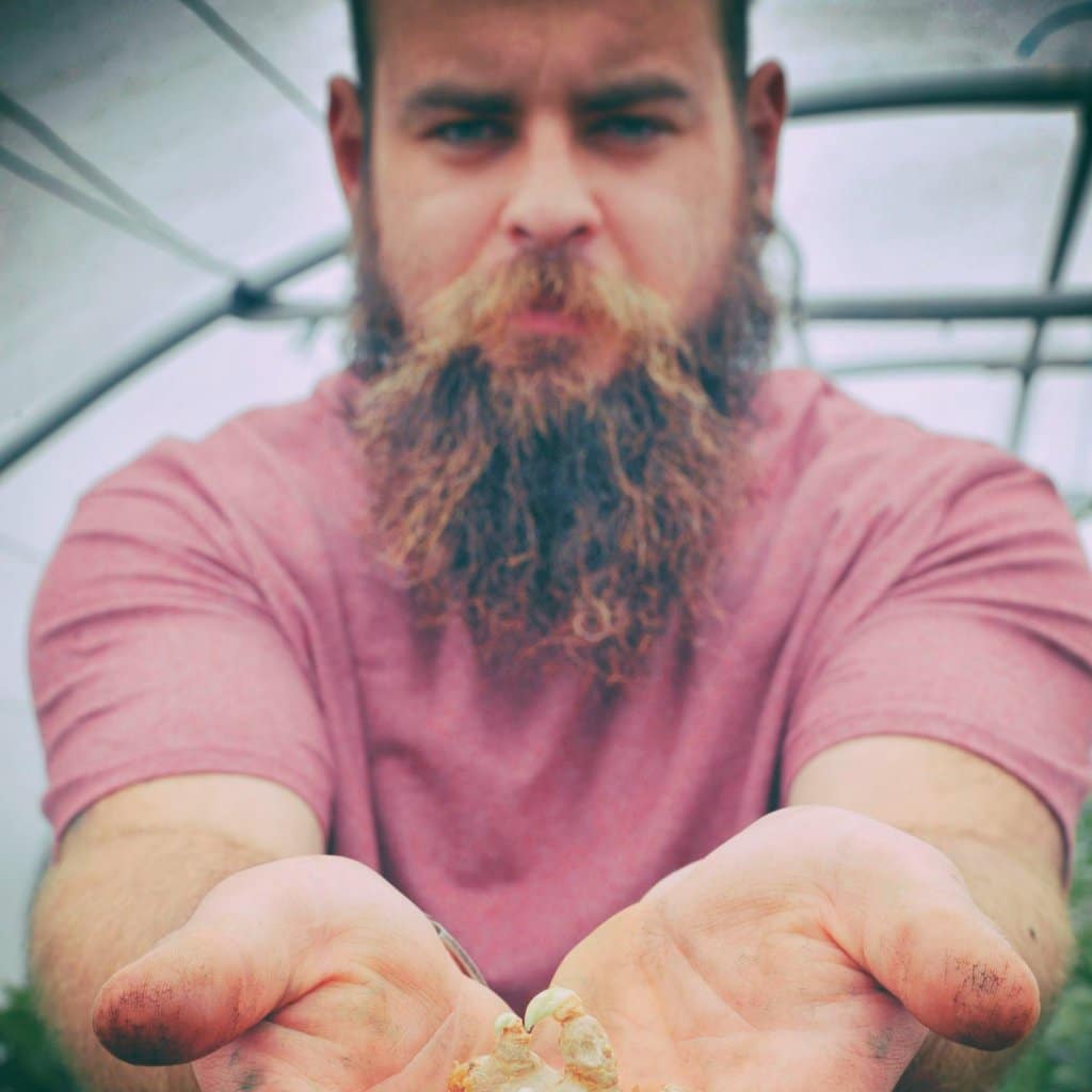 A la ferme de Saint-Daniel, Valentin Moricet fait de l’exotisme made in Bretagne