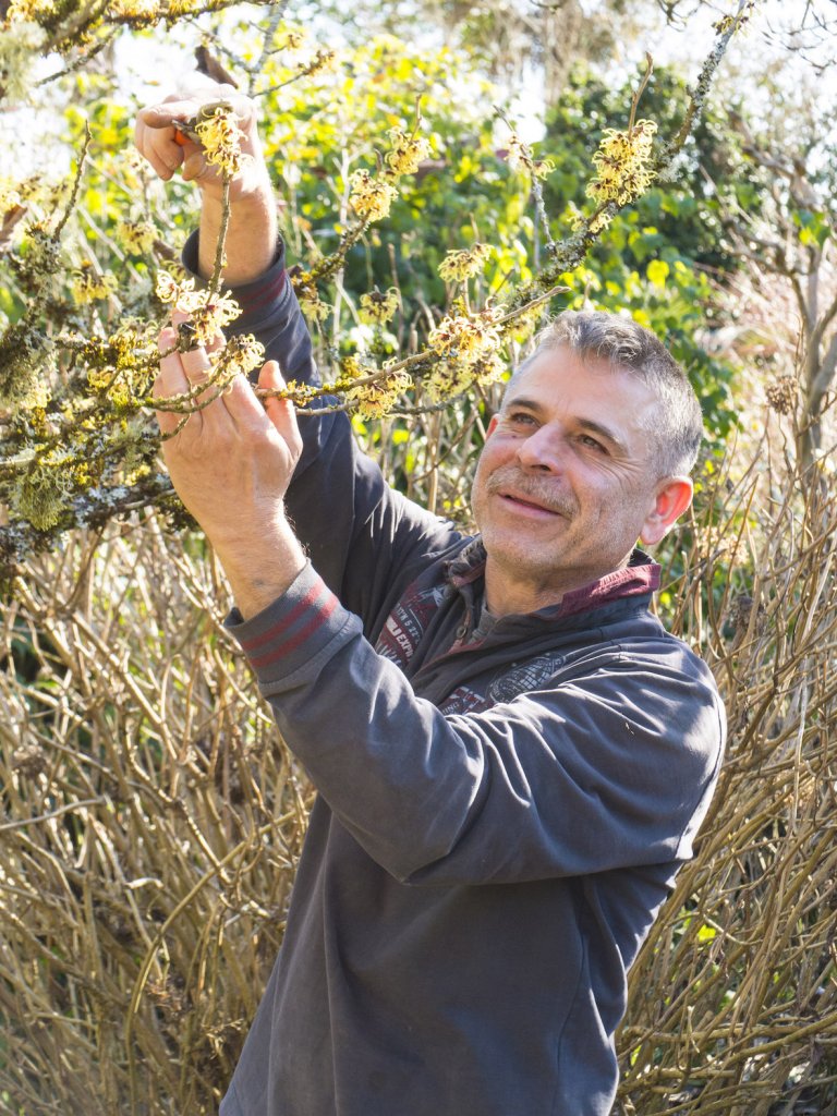 Les passions hivernales de Willy