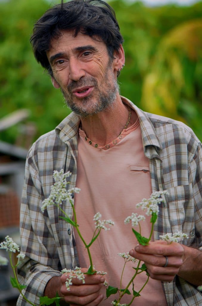 Xavier Mathias, un autre regard sur le jardin
