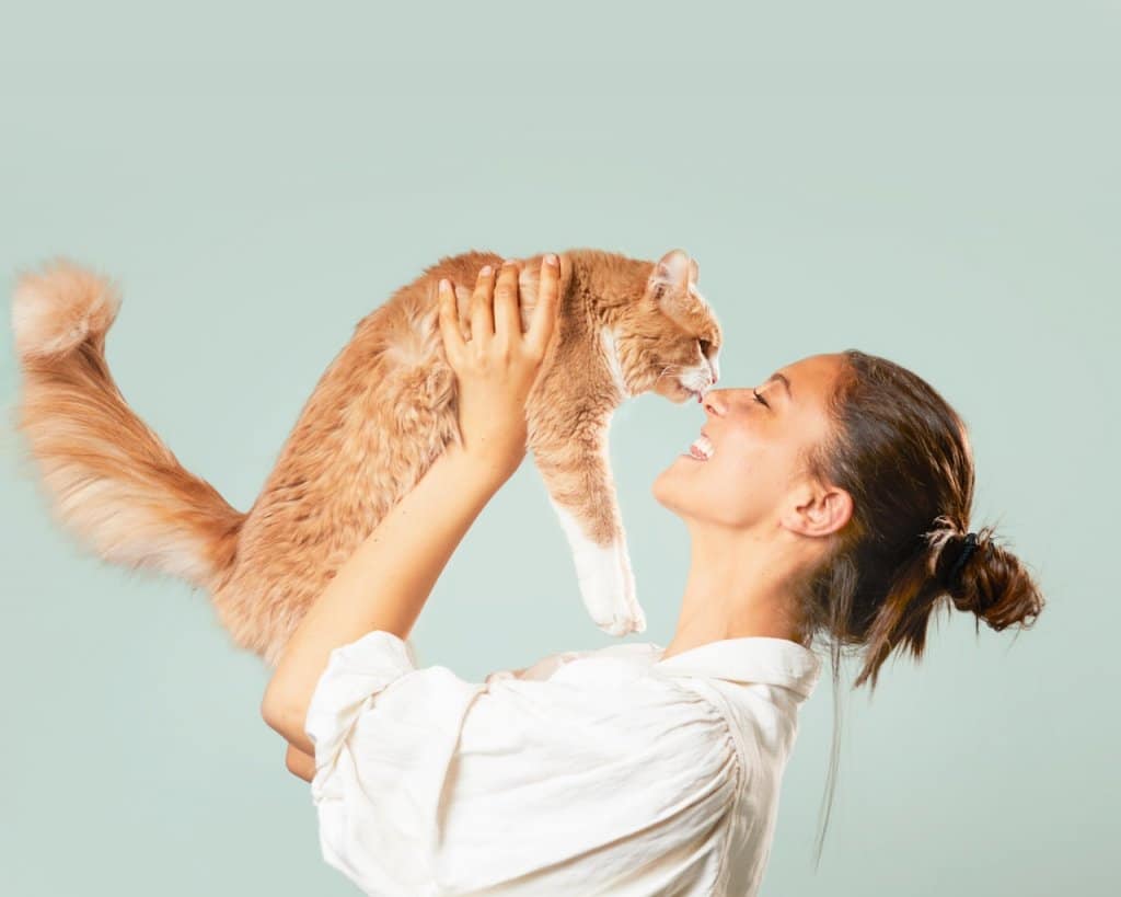 Ziggy, une alimentation pour chats qui se veut transparente et saine