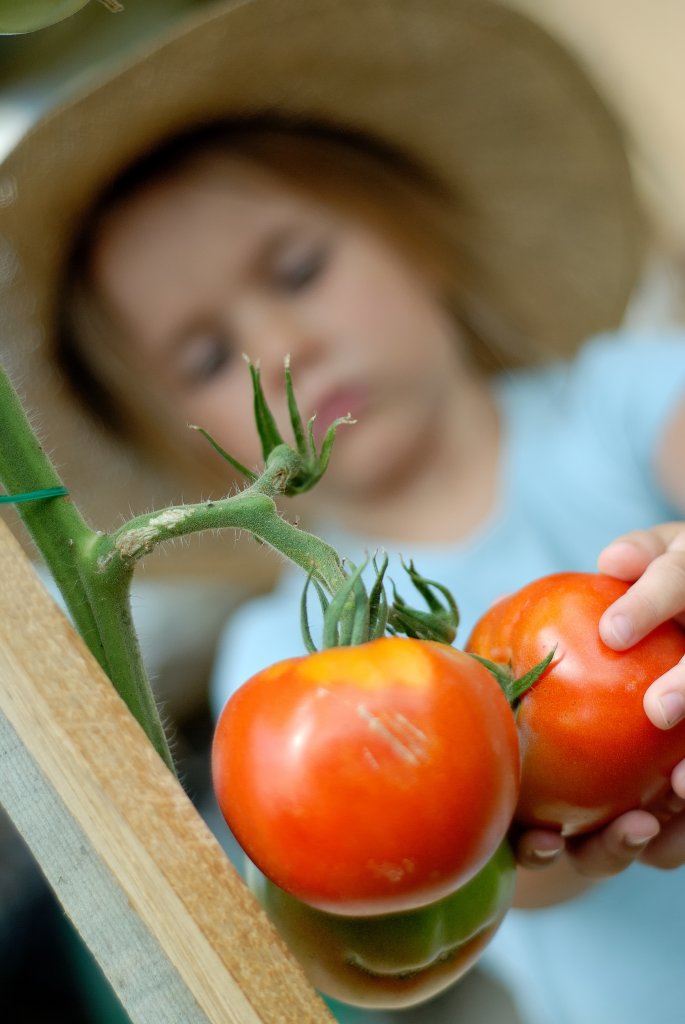 Marseille : l’école comestible fait entrer l’éducation alimentaire dans les classes
