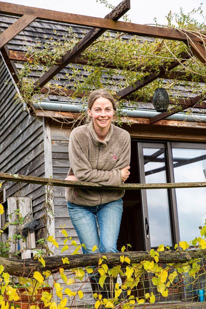 La petite cabane au milieu des plantes