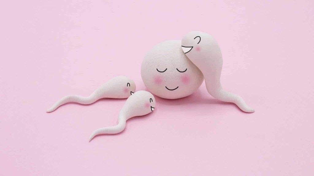 Apprendre à répondre à la question « comment on fait les bébés ? »