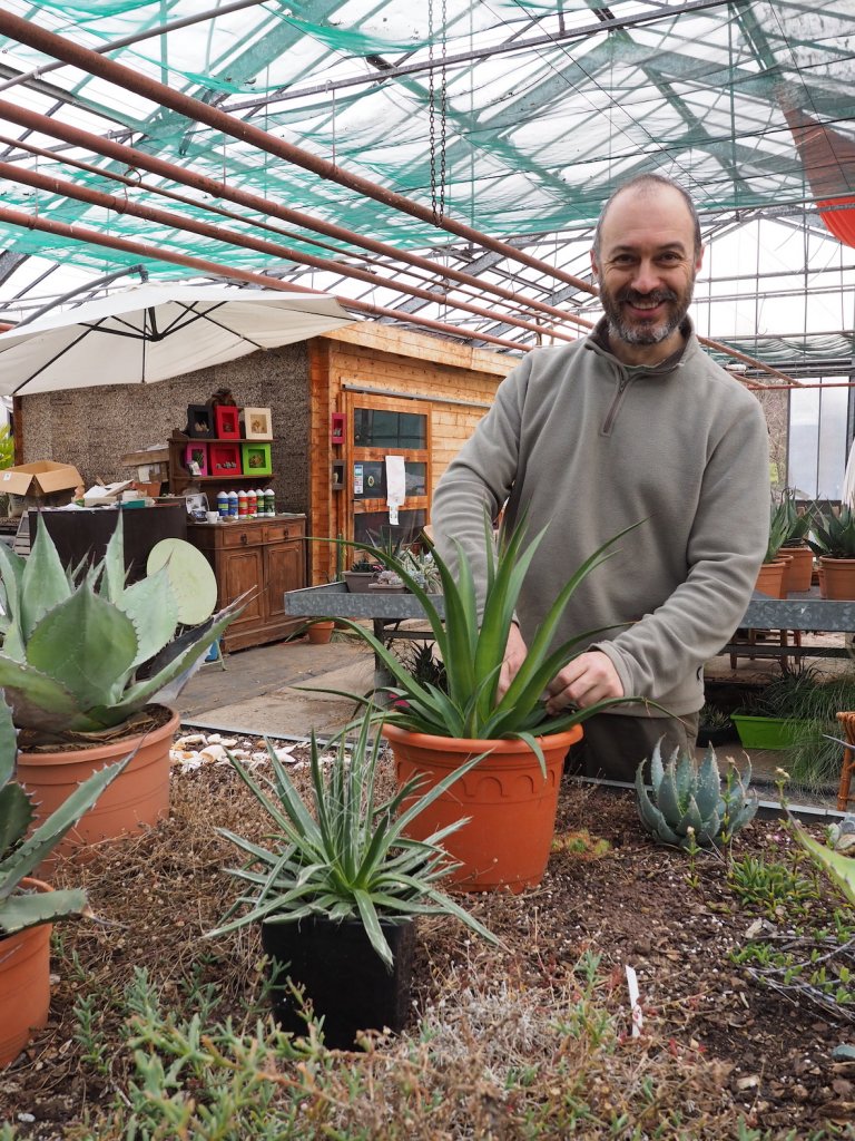 À la découverte des plantes exotiques rustiques