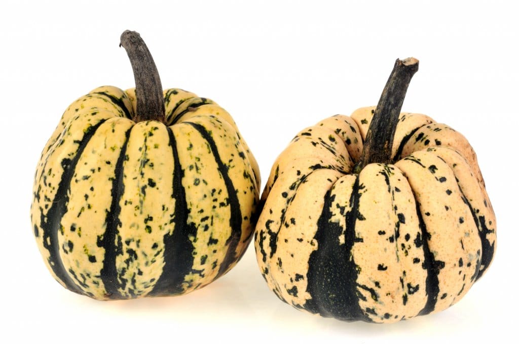 Le patidou, ce légume qui vous veut du bien